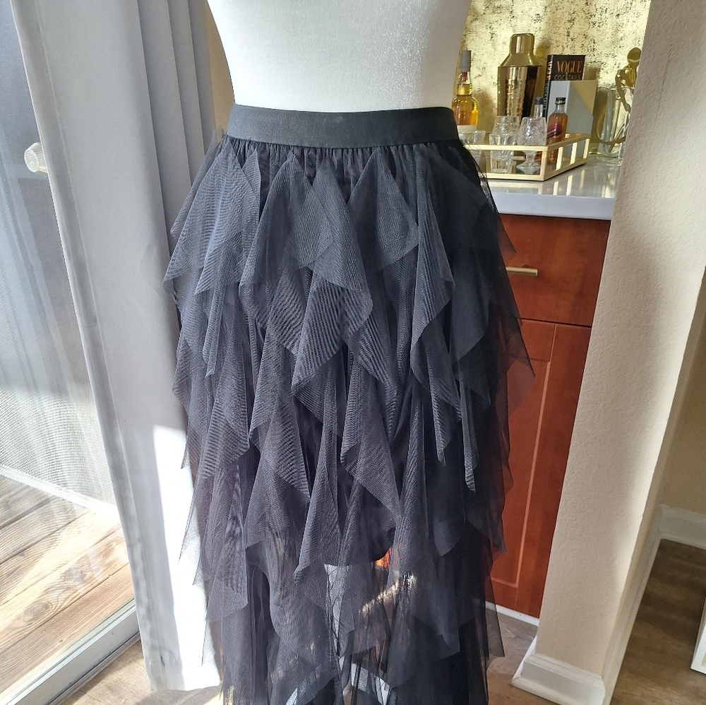 Elegant Black Layered Tulle Skirt/Dress - Picture 2 of 7